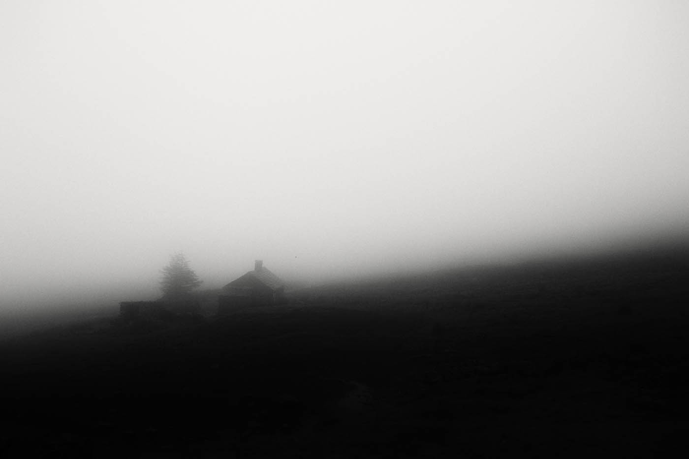 Signature photograph