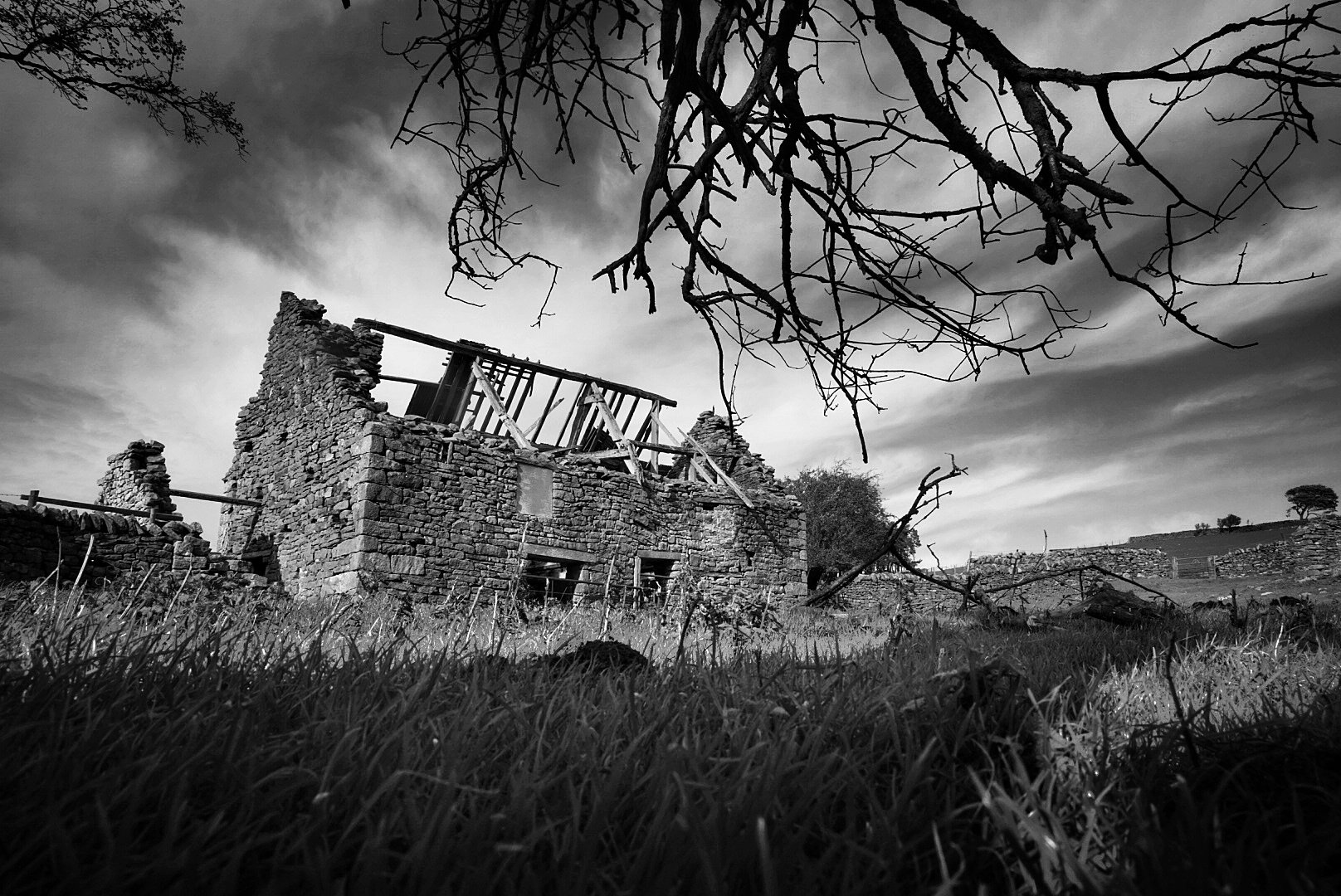 Ruined stone farmhouse beneath bare winter branches and a stormy sky