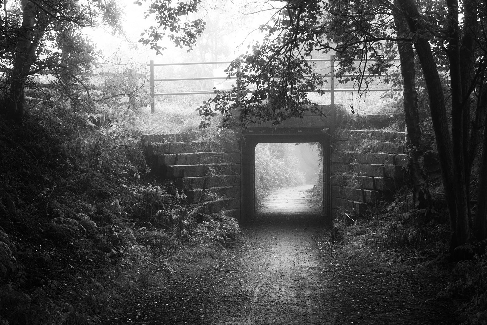 Tree-lined path leading through a stone tunnel with light at the far end